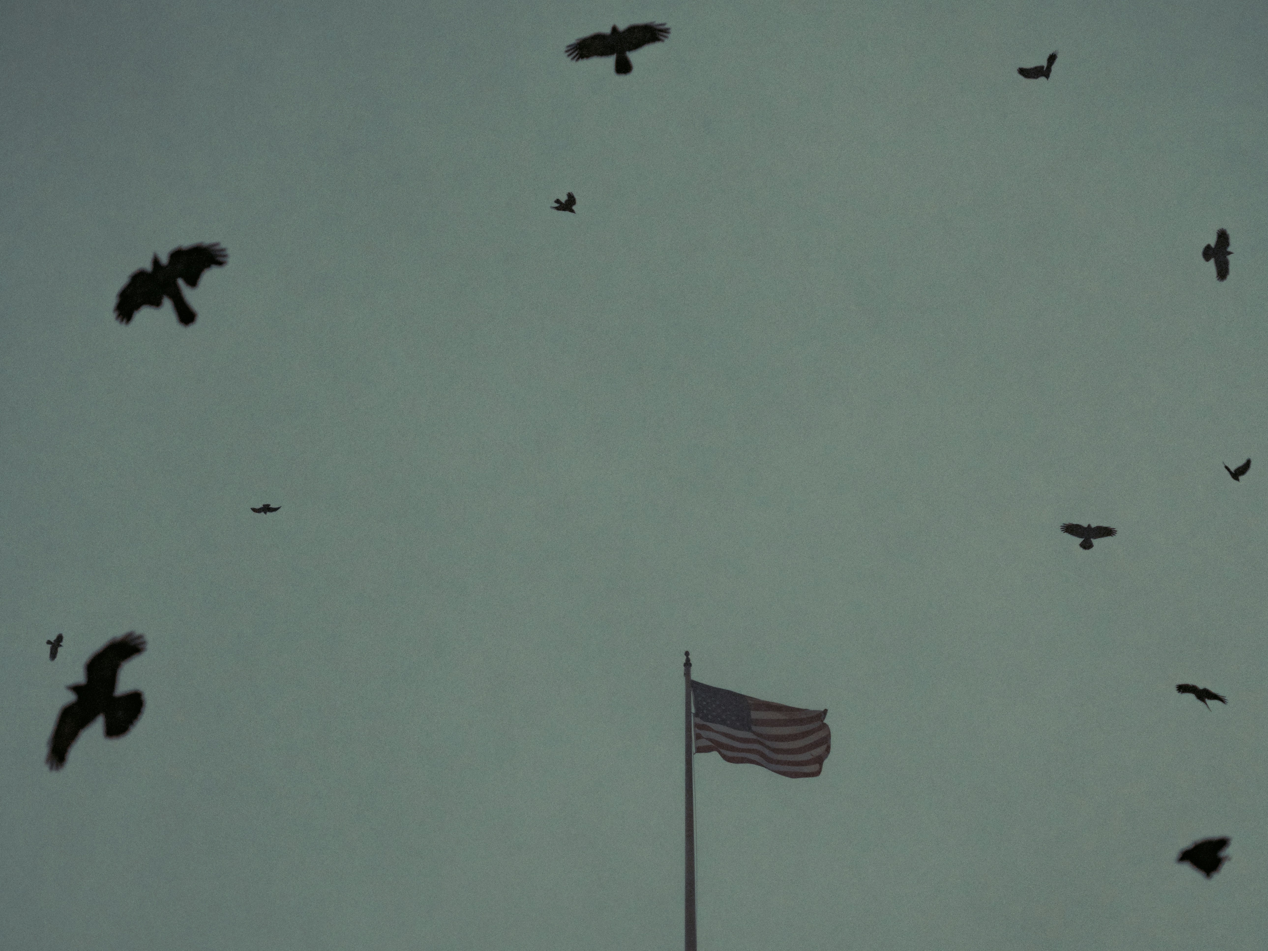 American Dystopia - American Utopia